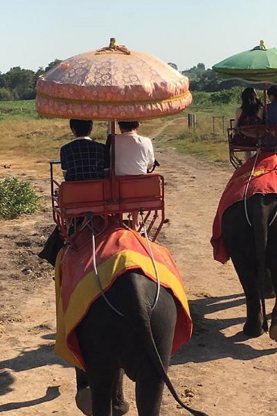 タイ・象乗り体験