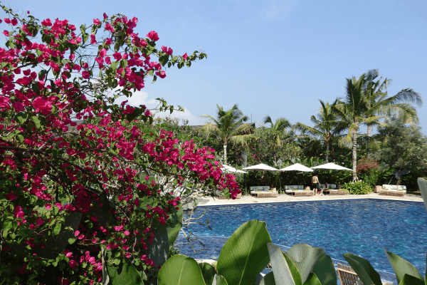 アヤナリゾート