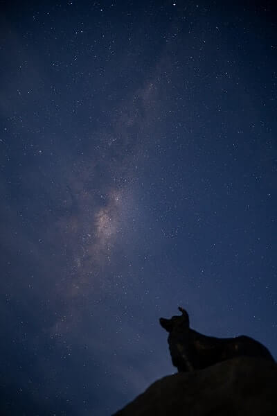ニュージーランドの星空
