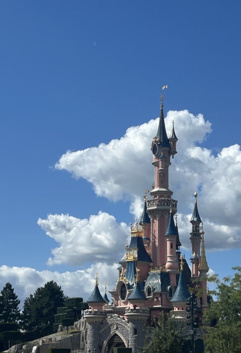 パリディズニー