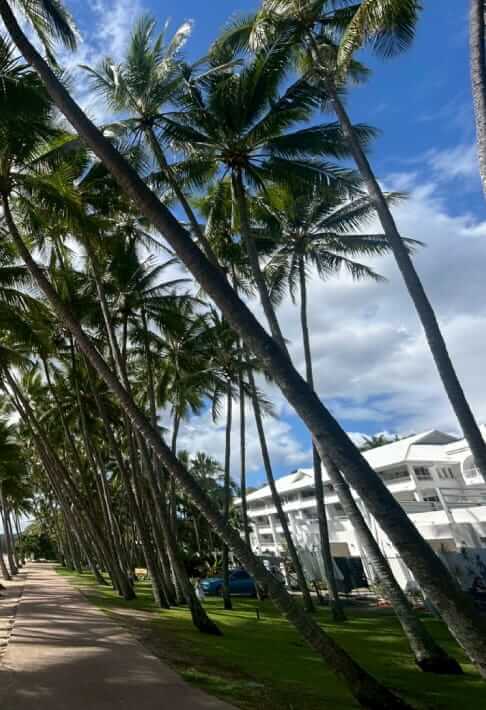 予定外の延泊も含めて忘れられないケアンズ旅行