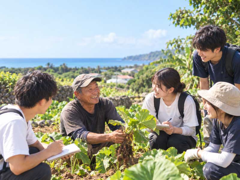 沖永良部島でフィールドワークに取り組む様子