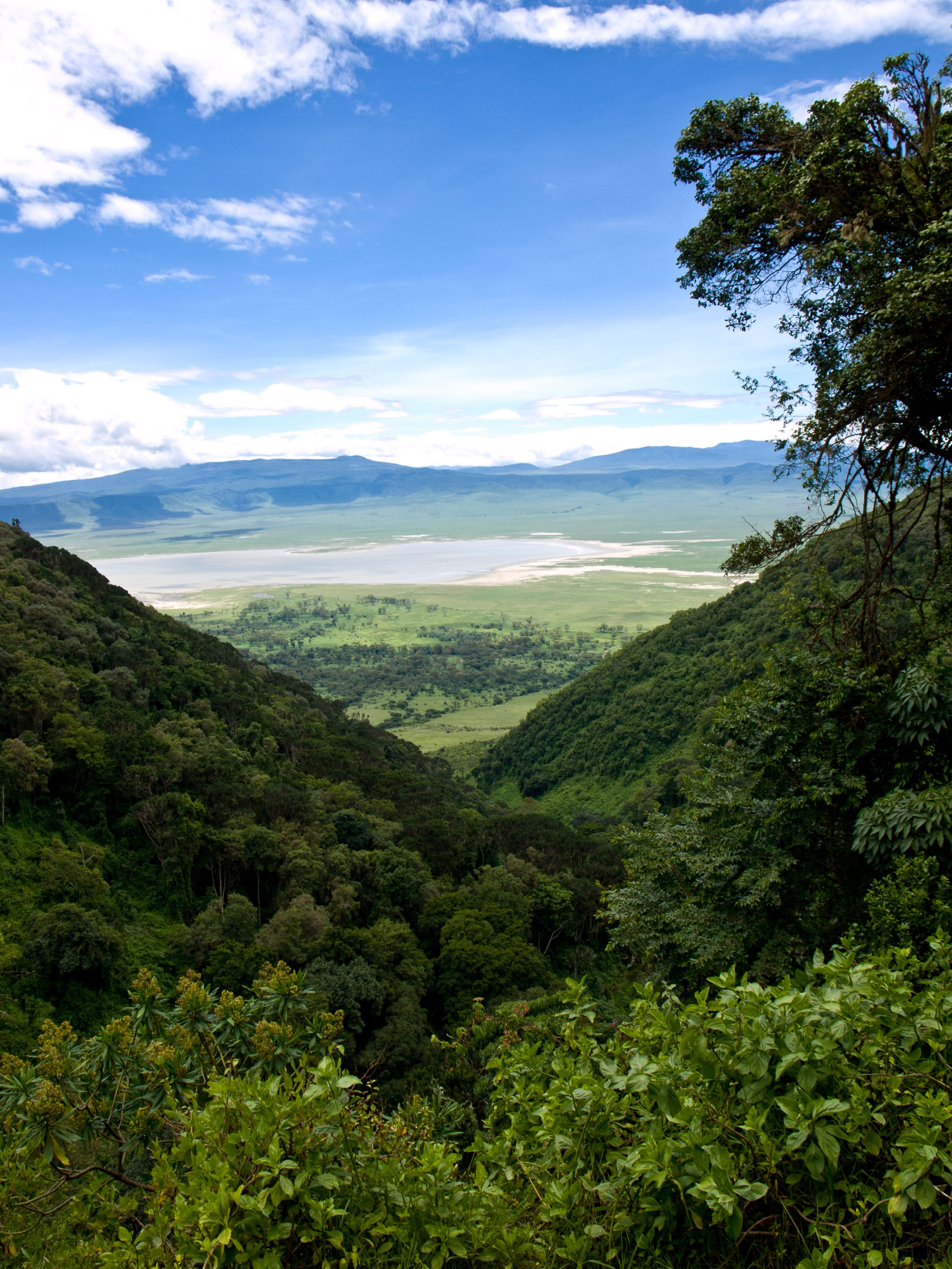 ンゴロンゴロクレーター 火口を見下ろす絶景